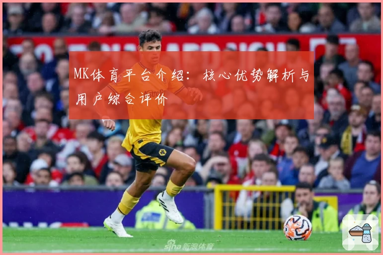 MK体育平台介绍：核心优势解析与用户综合评价