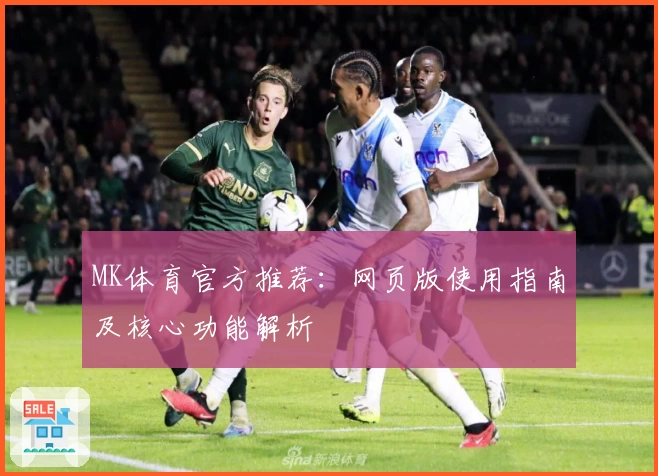 MK体育官方推荐：网页版使用指南及核心功能解析